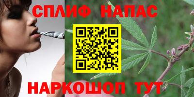индика Ипатово