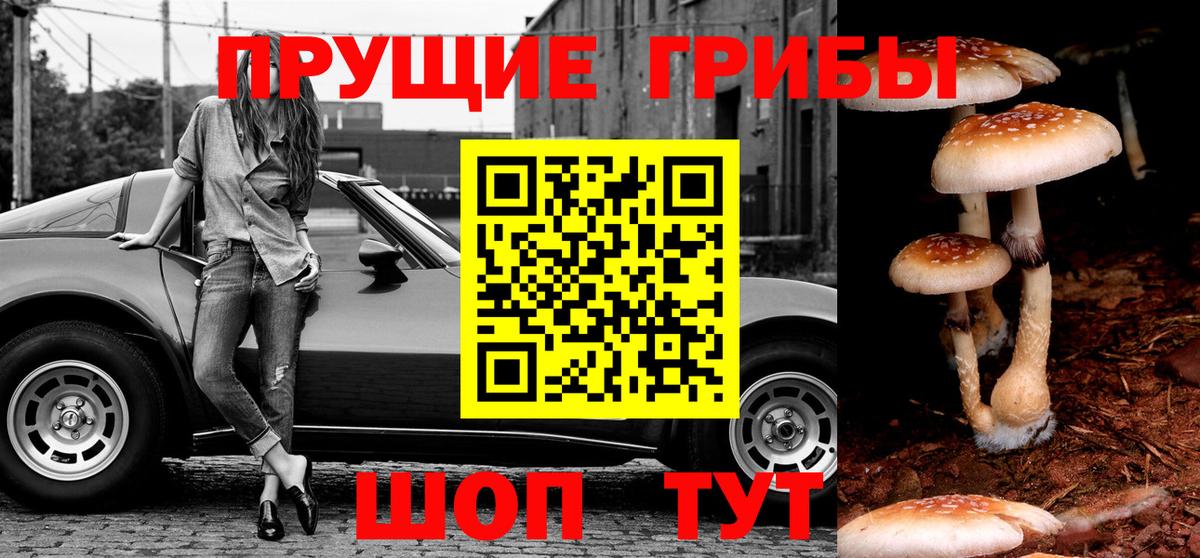Краснознаменск  Галлюциногенные грибы Psilocybine cubensis  Вход с VPN  Псилоцибиновые грибы прущие грибы 