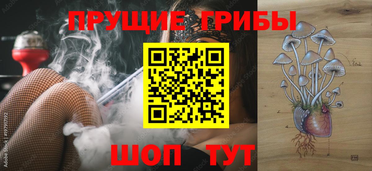 Галлюциногенные грибы Magic Shrooms Краснознаменск